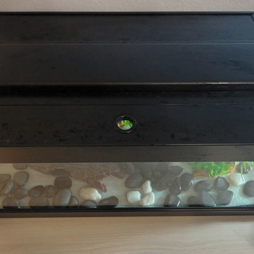 Greek Coral Fish Aquarium 63L used with filter, lighting, and decoration