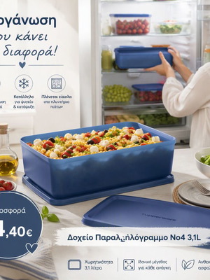 Tupperware Rectangular Container 3.1L new