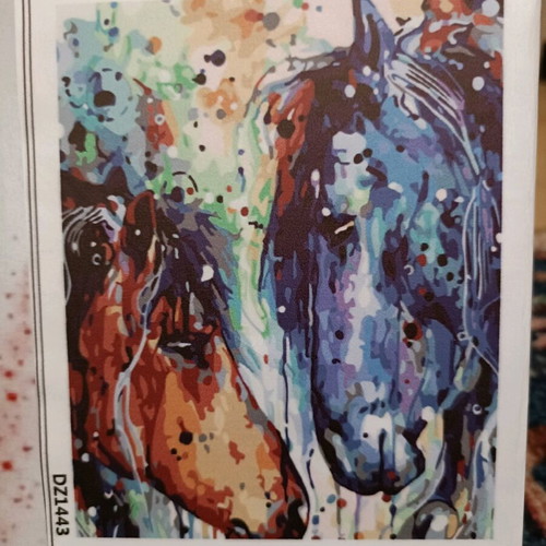 Painting kit new with numbered pieces on 40x50 canvas