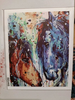 Painting kit new with numbered pieces on 40x50 canvas