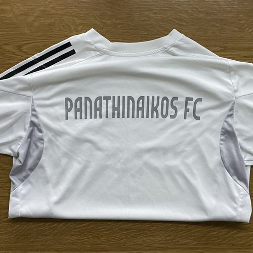 Adidas Panathinaikos Training Jersey 2026 like new
