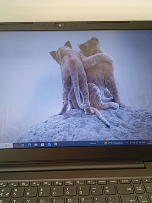 Lenovo V330-15IKB laptop i5 8th Gen 8GB RAM 256GB Samsung SSD Full HD Windows 10 Pro