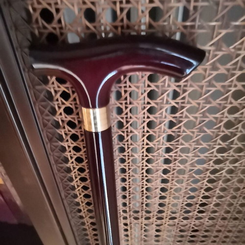 Triantafyllia Walking Cane with T Handle and Metal Decorative Ring, New