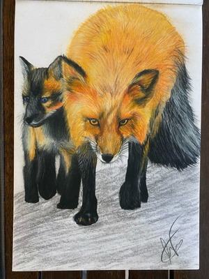 Ζωγραφιά «FOX & PUP» καινούργια, Α5, Alcohol Markers και Stabilo Carbothello Pencils