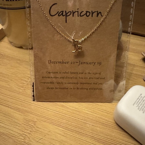 Capricorn gold necklace