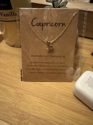 Capricorn gold necklace