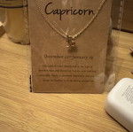 Capricorn gold necklace