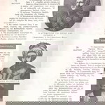 Μακεδονική Ζωή (Μαρ. 1971, τ. 58) Νάουσα, Βέροια, πρόσκοποι Φλώρινα, προσκοπισμός, Θεσσαλονίκη