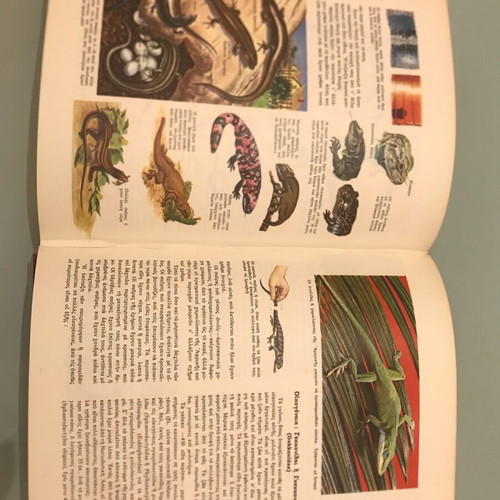 The World of Plants and Animals Volume 1 like new, Biology - Zoology