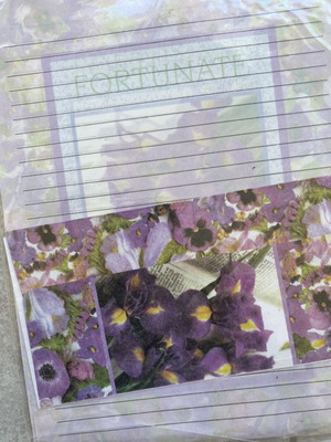 Various letters with covers pack in like-new condition