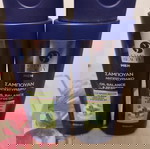  2 σαμπουάν για λιπαρά μαλλιά , αντιπυτυριδικο με εκχύλισμα λεμονιού και βιταμίνη b3