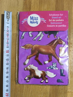 Equestrian stencil set like new