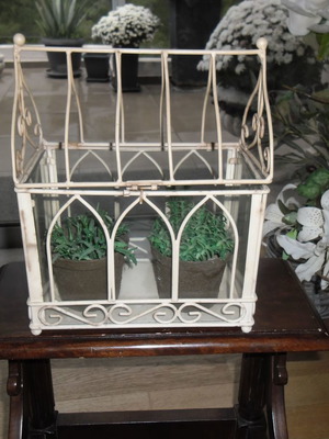 Θερμοκήπιο μεταχειρισμένο από σίδερο και γυαλί για κακτάκια