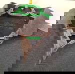 Μπλούζα ανδρική Radman M μεταχειρισμένη, 100% βαμβάκι, γκρι καφέ