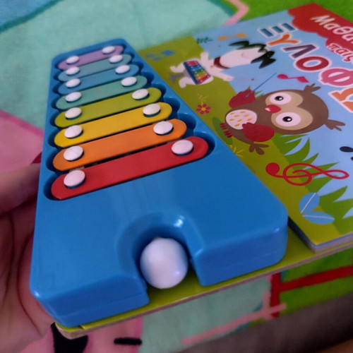 Children's book with xylophone like new