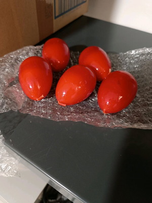 Wax eggs unused, excellent condition