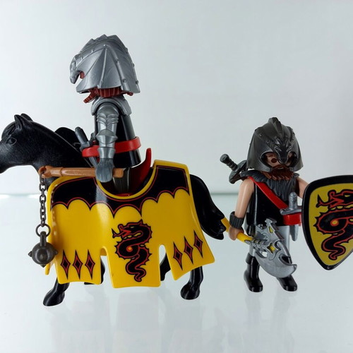 Playmobil Dragon Knights used