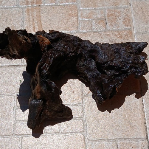 Aquarium wood decorative, used