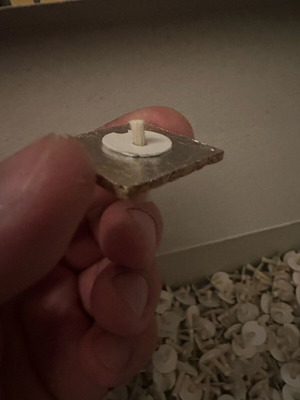 Cypriot wicks new, pack of 500 with corks