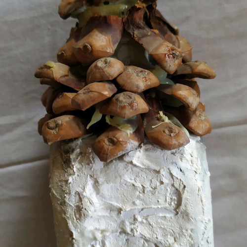 Decorative house used, made from bottle