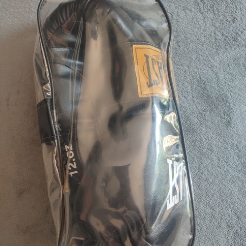 Everlast Rodney 12oz boxing gloves with Technics hand wraps
