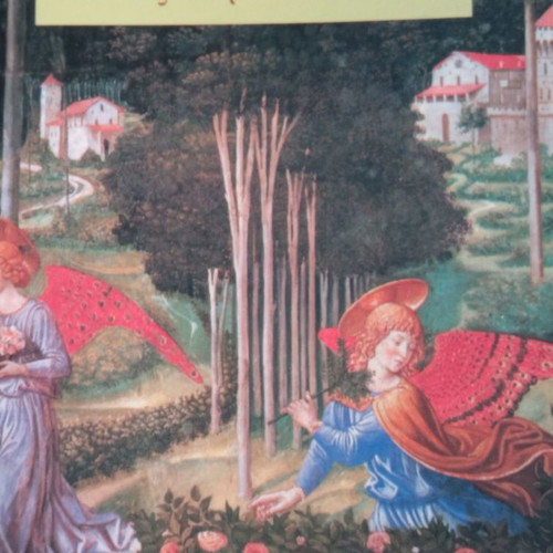 The Joy of Angels used book