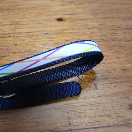 Cat collar new with adjustable design