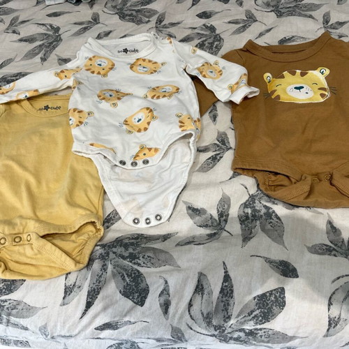 Long-sleeve bodysuits new for 2-4 months, 3 pieces, 100% cotton