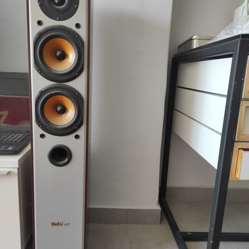 Roister sound floor-standing speakers like new
