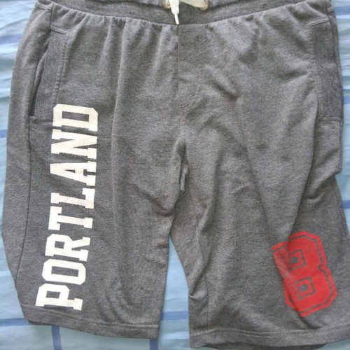 Portwest shorts gray size M new and authentic