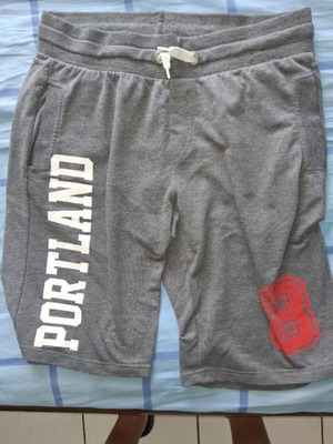 Portwest shorts gray size M new and authentic