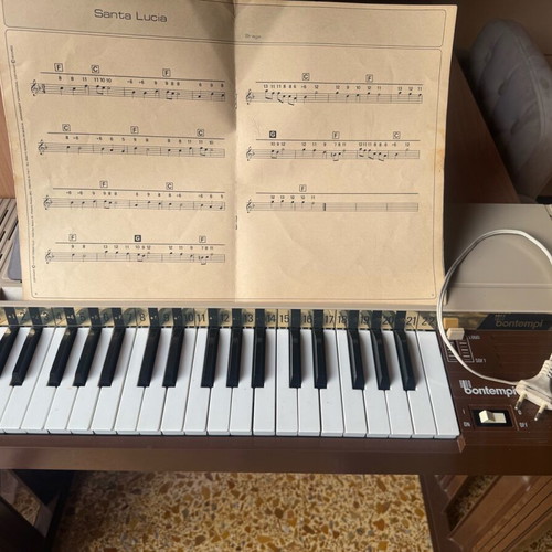 Bontempi electric chord organ like new
