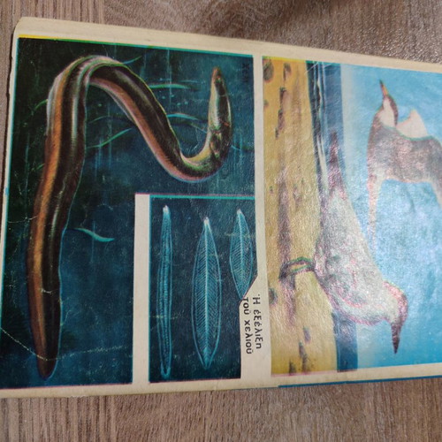 Zagor 22 used