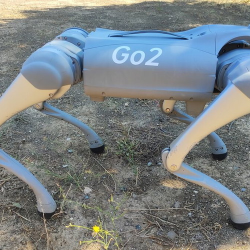 Unitree Go2 Pro AI quadruped robot dog with wireless tracking controller