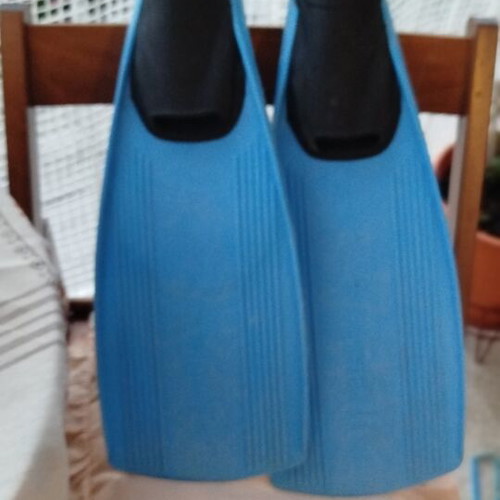Sea blue swim fins