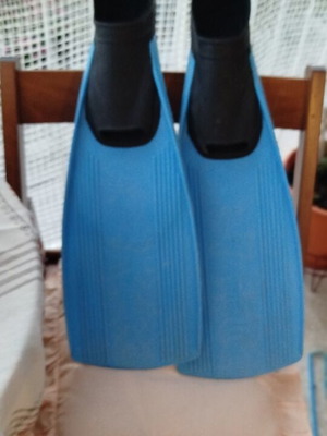 Sea blue swim fins