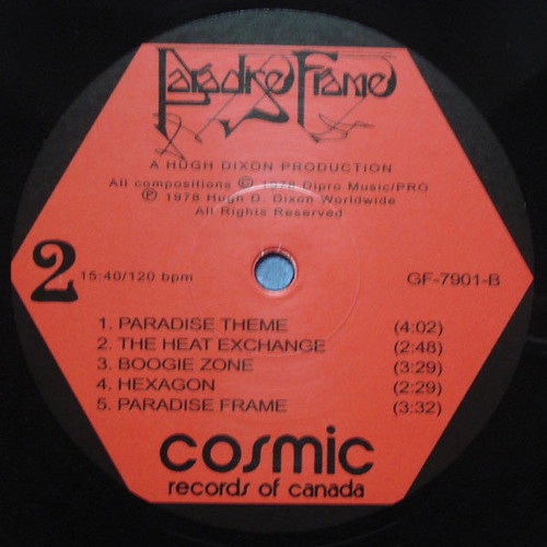 Paradise Frame record electronic used