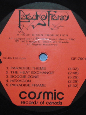 Paradise Frame record electronic used