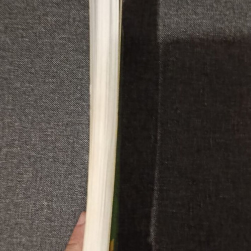 The Treasures of Solomon young adult novel like new, Greek