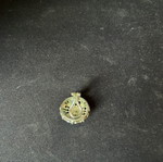 Fake earring used without piercing