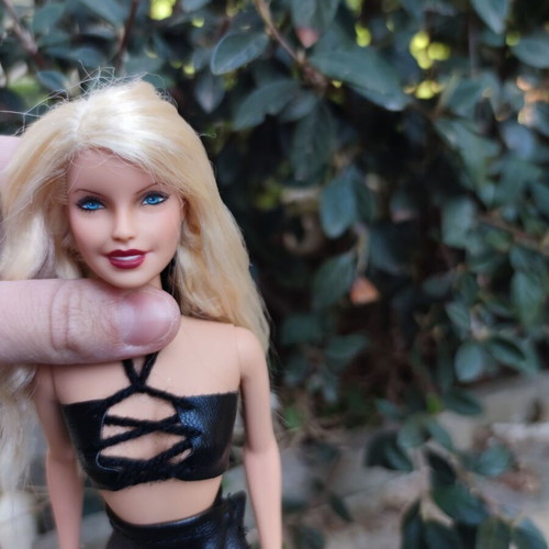 Barbie Pamela Anderson OOAK used with handmade clothes