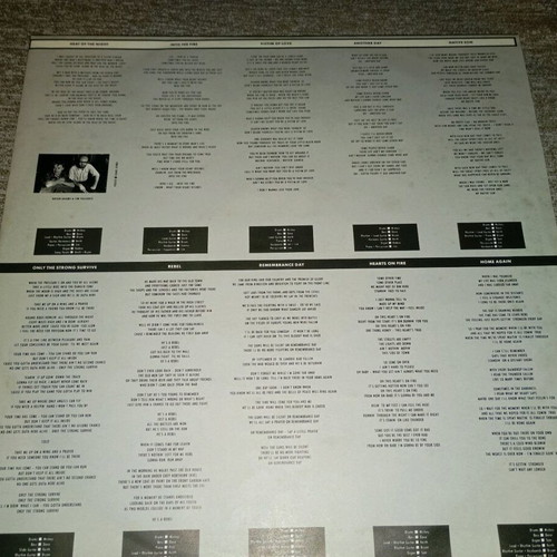 Bryan Adams Into The Fire LP Album like new, rock