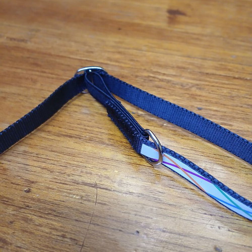 Cat collar new with adjustable design