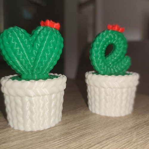 3D-Printed Mini Cactus Set Love, new