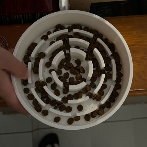 Slow Feeder bowl for small and medium cat and dog new
