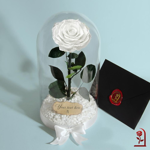 White Eternal Rose in Large Glass Dome made to order