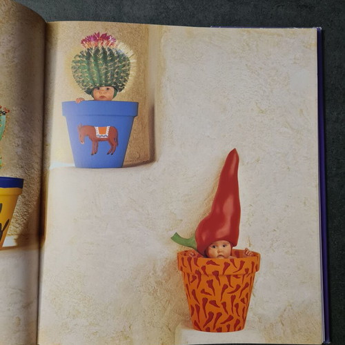 Album The Treasures of the Garden Anne Geddes used book