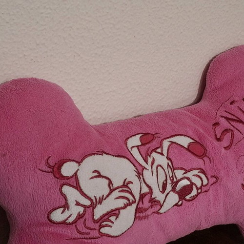 Asterix Park Idefix Bone plush pillow like new 2013