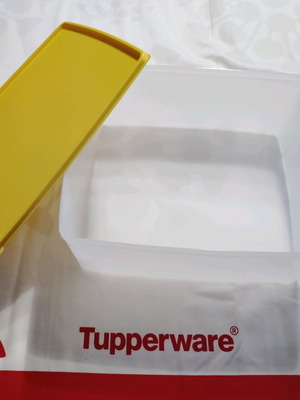 Tupperware 6-liter freezer container new