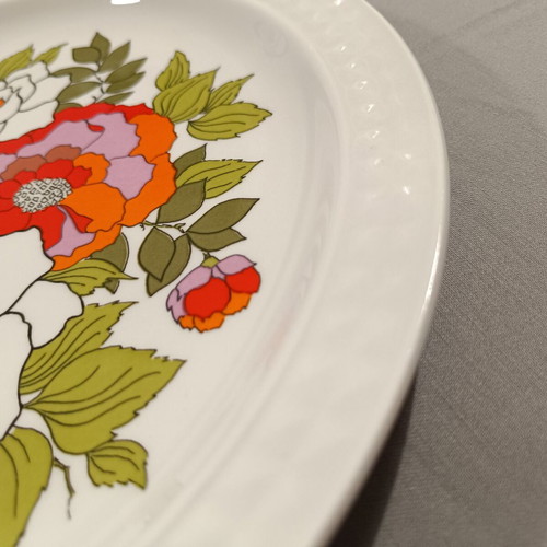 Vintage Pontesa Spain dessert and fruit set 7 pieces used, ironstone floral